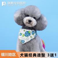 【阿闻银川】犬经典造型 美容套卡3送1 犬：3-6KG